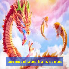 acompanhates trans santos